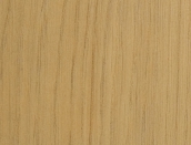 MCX20 Azuolas